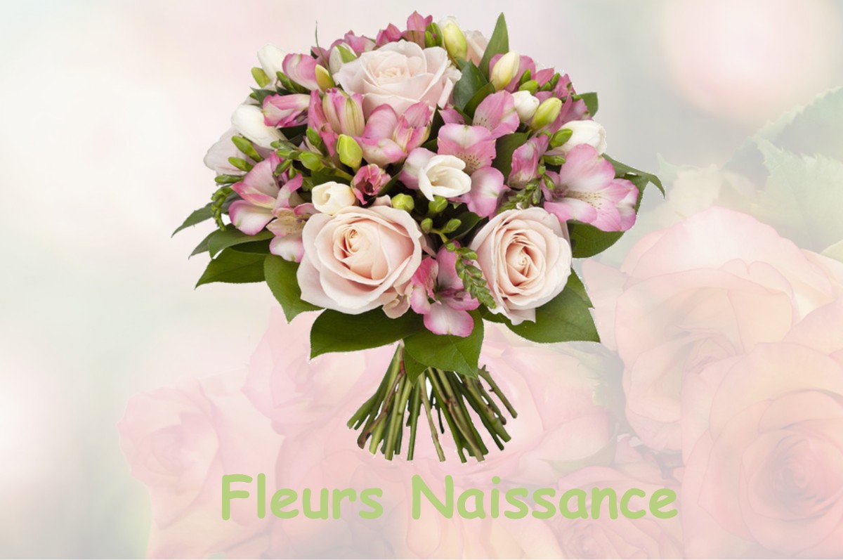 fleurs naissance WATRONVILLE