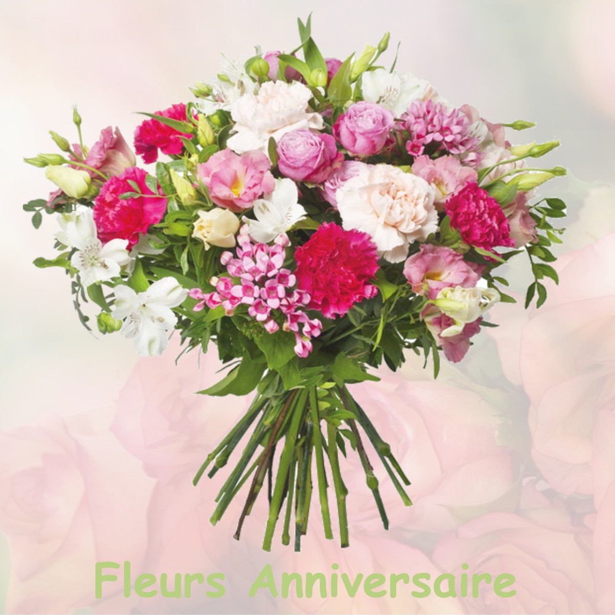 fleurs anniversaire WATRONVILLE