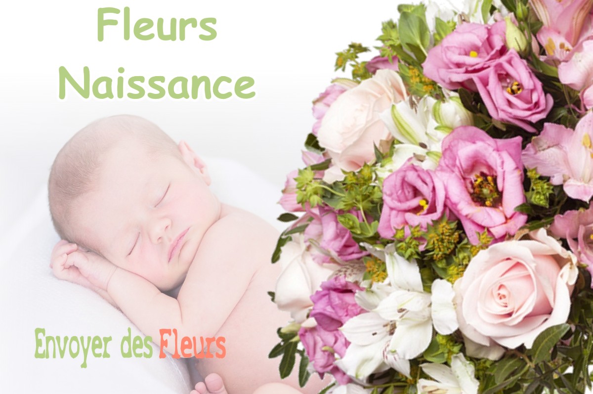 lIVRAISON FLEURS NAISSANCE à WATRONVILLE